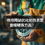 维持网站优化的效果要重视哪些方面?(图2) 维持网站优化的效果要重视哪些方面?(图2)