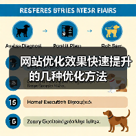 网站优化效果快速提升的几种优化方法(图1) 网站优化效果快速提升的几种优化方法(图1)