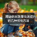 网站优化效果快速提升的几种优化方法(图3) 网站优化效果快速提升的几种优化方法(图3)