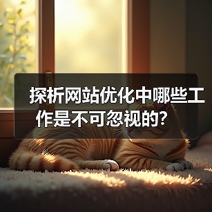 探析网站优化中哪些工作是不可忽视的?(图3) 探析网站优化中哪些工作是不可忽视的?(图3)
