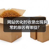 网站优化时收录出现异常的原因有哪些?(图3) 网站优化时收录出现异常的原因有哪些?(图3)