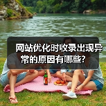 网站优化时收录出现异常的原因有哪些?(图1) 网站优化时收录出现异常的原因有哪些?(图1)