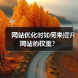 网站优化时如何来提升网站的权重?(图1) 网站优化时如何来提升网站的权重?(图1)