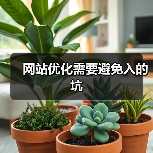 网站优化需要避免入的坑(图3) 网站优化需要避免入的坑(图3)