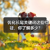优化长尾关键词这些特征,你了解多少?(图2) 优化长尾关键词这些特征,你了解多少?(图2)