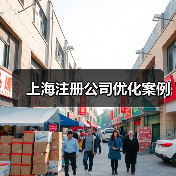 上海注册公司优化案例(图4) 上海注册公司优化案例(图4)