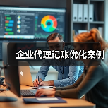 企业代理记账优化案例(图4) 企业代理记账优化案例(图4)