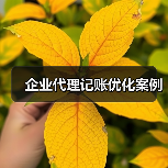 企业代理记账优化案例(图3) 企业代理记账优化案例(图3)