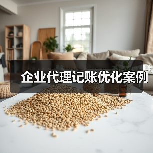 企业代理记账优化案例(图2) 企业代理记账优化案例(图2)