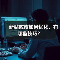 新站应该如何优化,有哪些技巧?(图2) 新站应该如何优化,有哪些技巧?(图2)