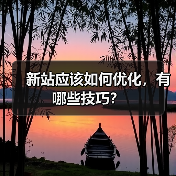 新站应该如何优化,有哪些技巧?(图4) 新站应该如何优化,有哪些技巧?(图4)