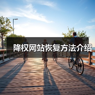 降权网站恢复方法介绍(图3) 降权网站恢复方法介绍(图3)