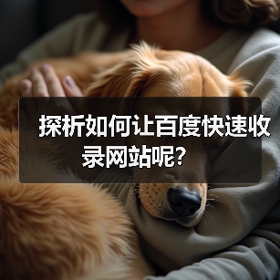 探析如何让百度快速收录网站呢?(图4) 探析如何让百度快速收录网站呢?(图4)