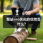 整站seo优化的优势是什么?(图3) 整站seo优化的优势是什么?(图3)