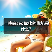 整站seo优化的优势是什么?(图2) 整站seo优化的优势是什么?(图2)
