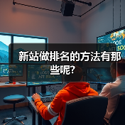 新站做排名的方法有那些呢?(图2) 新站做排名的方法有那些呢?(图2)