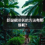 新站做排名的方法有那些呢?(图3) 新站做排名的方法有那些呢?(图3)