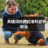 关键词挖掘的准则都有哪些(图2) 关键词挖掘的准则都有哪些(图2)