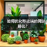 如何优化移动端的网站排名?(图4) 如何优化移动端的网站排名?(图4)