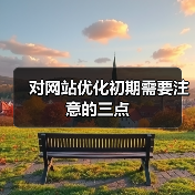 对网站优化初期需要注意的三点(图4) 对网站优化初期需要注意的三点(图4)