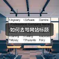 如何去写网站标题(图4) 如何去写网站标题(图4)