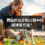 网站优化诊断过程中包括哪些方面?(图3) 网站优化诊断过程中包括哪些方面?(图3)