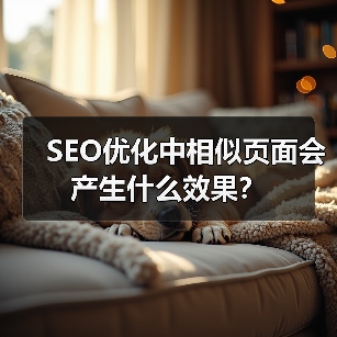 SEO优化中相似页面会产生什么效果?(图1) SEO优化中相似页面会产生什么效果?(图1)