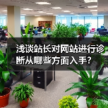 浅谈站长对网站进行诊断从哪些方面入手?(图3) 浅谈站长对网站进行诊断从哪些方面入手?(图3)
