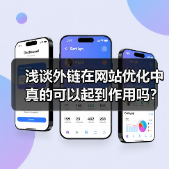 浅谈外链在网站优化中真的可以起到作用吗?(图4) 浅谈外链在网站优化中真的可以起到作用吗?(图4)