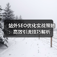 站外SEO优化实战策略：高效引流技巧解析（图4）