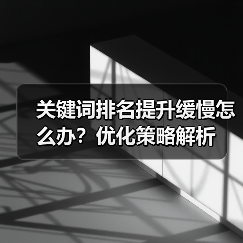 关键词排名提升缓慢怎么办?优化策略解析(图1) 关键词排名提升缓慢怎么办?优化策略解析(图1)