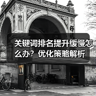 关键词排名提升缓慢怎么办?优化策略解析(图4) 关键词排名提升缓慢怎么办?优化策略解析(图4)