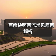 百度快照回流常见原因解析（图4）