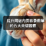 提升网站内页收录数量的五大关键因素（图3）