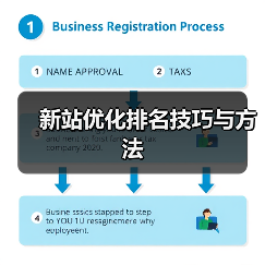 新站优化排名技巧与方法（图2）