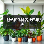 新站优化排名技巧与方法（图4）