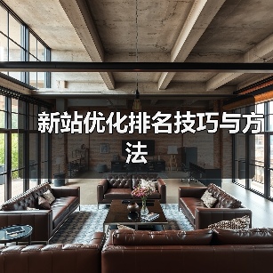 新站优化排名技巧与方法（图1）