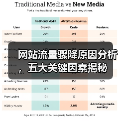 网站流量骤降原因分析，五大关键因素揭秘（图2）