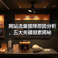 网站流量骤降原因分析，五大关键因素揭秘（图3）