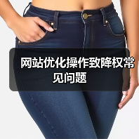 网站优化操作致降权常见问题（图2）