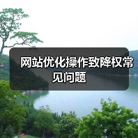 网站优化操作致降权常见问题（图3）