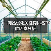 网站优化关键词排名下降因素分析（图4）