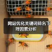 网站优化关键词排名下降因素分析（图1）