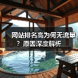 网站排名高为何无流量？原因深度解析（图3）