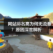 网站排名高为何无流量？原因深度解析（图2）