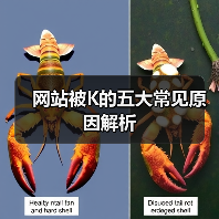 网站被K的五大常见原因解析（图3）