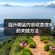 提升网站内容收录效率的关键方法（图1）