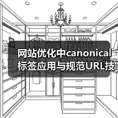网站优化中canonical标签应用与规范URL技巧（图1）