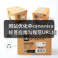 网站优化中canonical标签应用与规范URL技巧（图3）