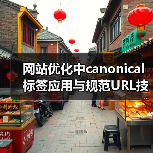 网站优化中canonical标签应用与规范URL技巧（图2）
